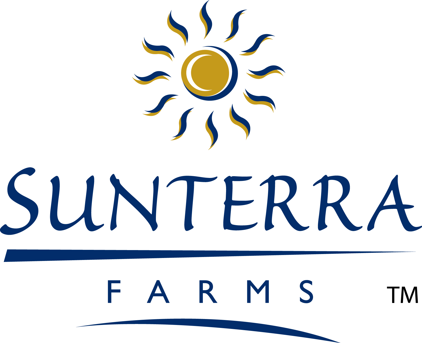 Activity Web Services